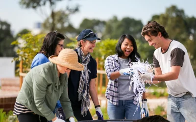 News 6 Peels Replaces ShareWaste: A New Chapter in Community Composting