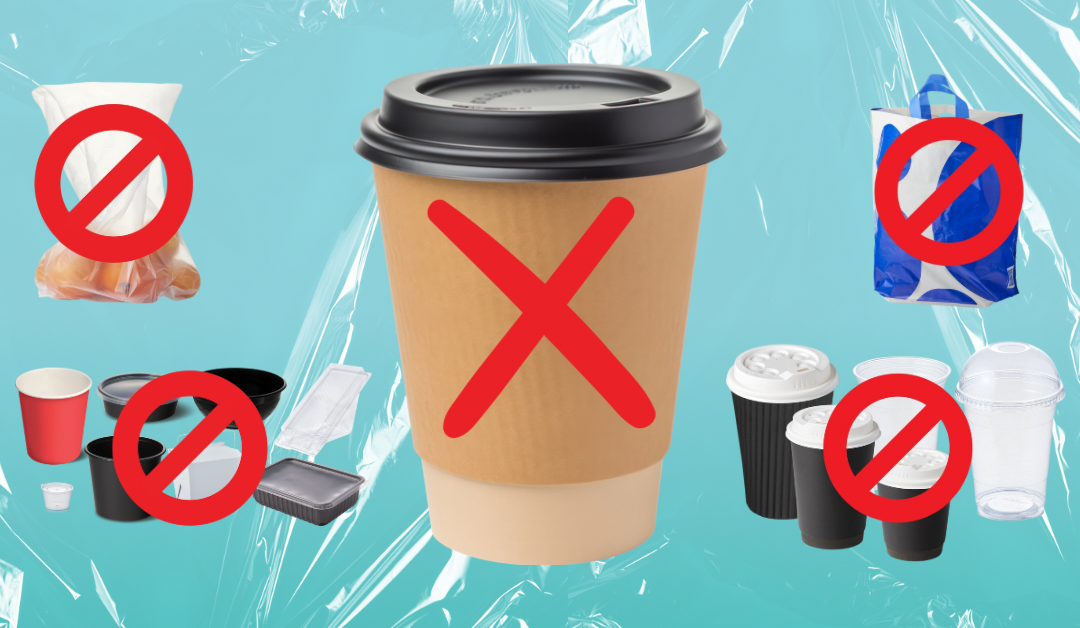 Single-Use Plastic Bans in 2025: SA & WA