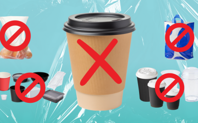 Single-Use Plastic Bans in 2025: SA & WA