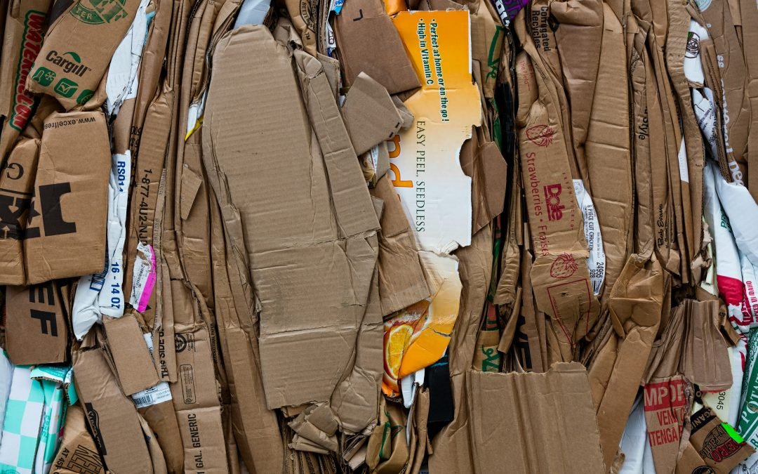 The National Sword Policy: How Australia Lost Its Recycling